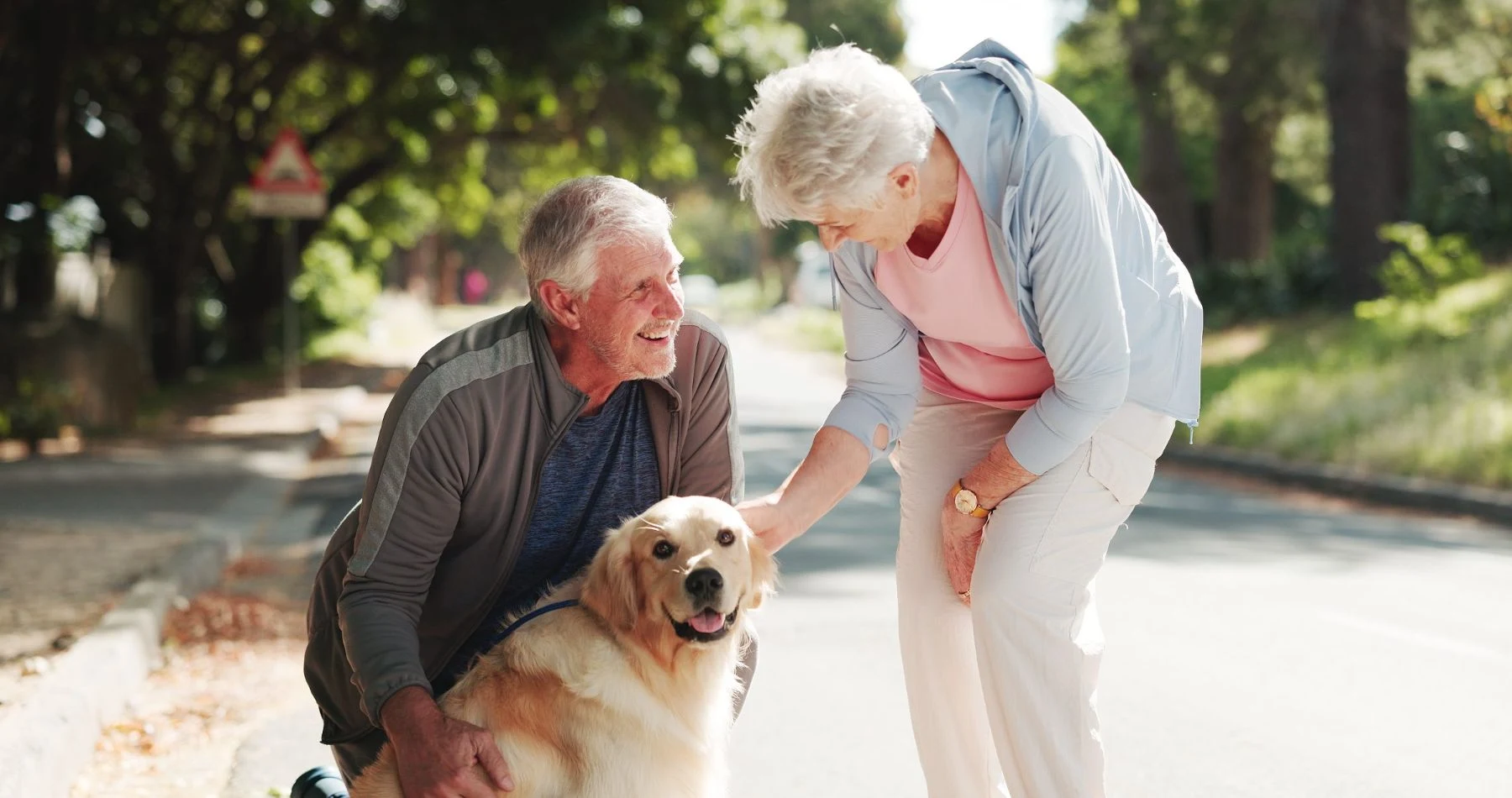 A couple out walking their dog